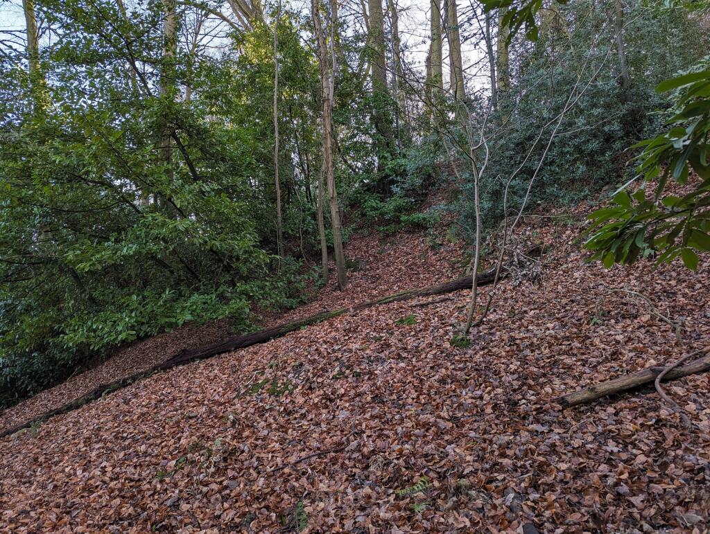 Grove Wood Painswick Road Brockworth GL3 4RU NB 26