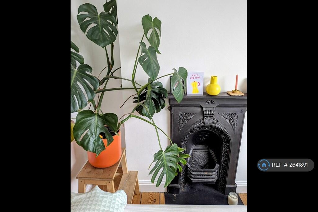 Original Fireplace (Decorative Only!)