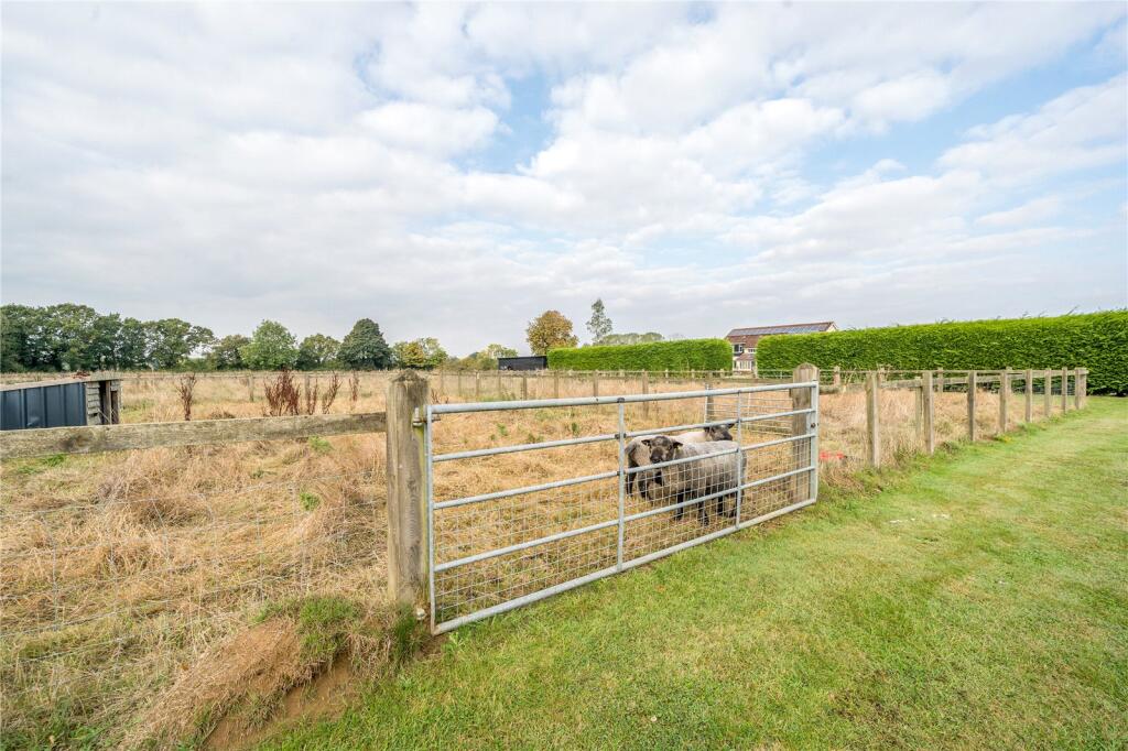Paddock Land