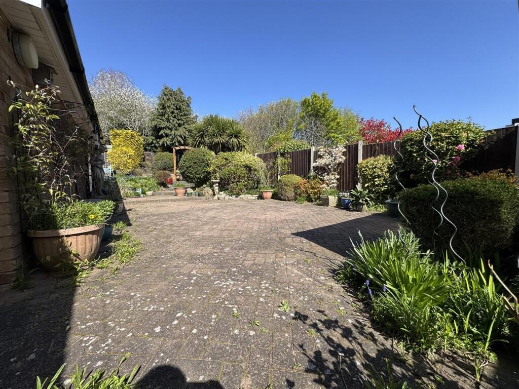 IMG_1264 (Large).JPG