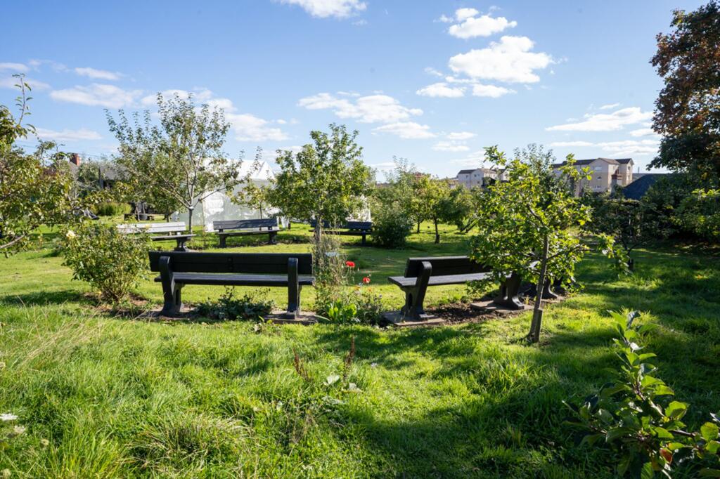 Secret community garden