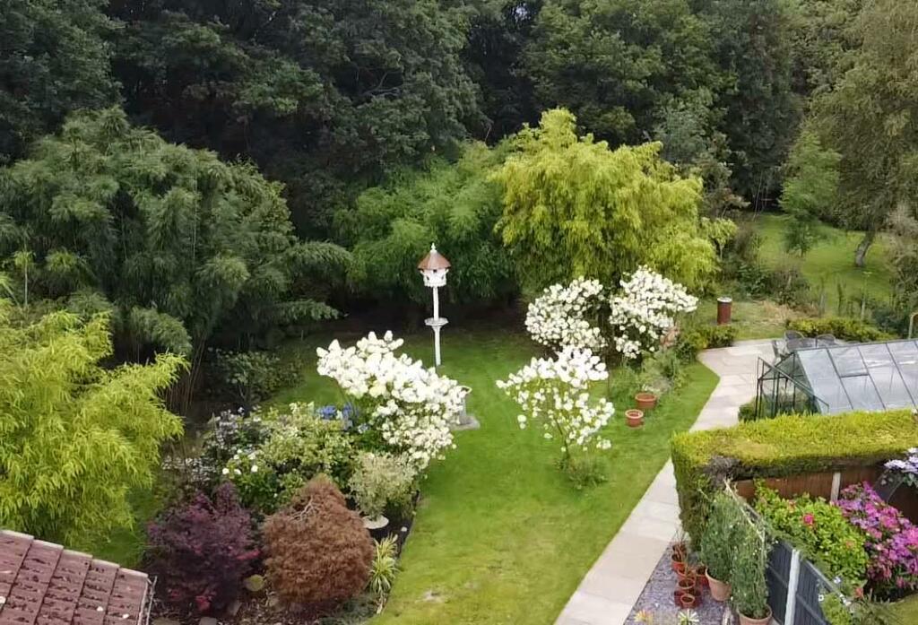 Outside - Aerial View