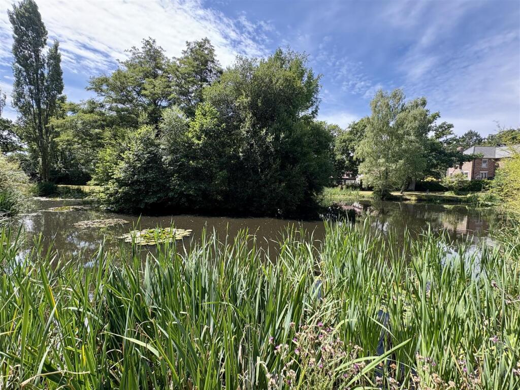 pond.jpg