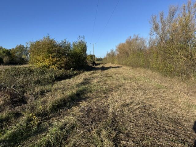 7  Small  T202510301312.jpg