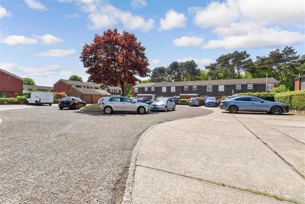 Driveway/Parking