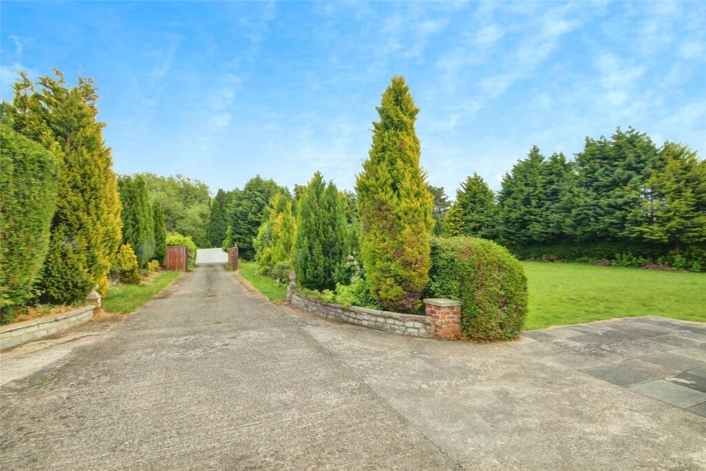 Driveway and Garden