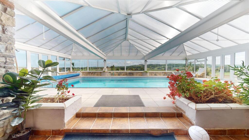 Red Cat Lane Swimming Pool