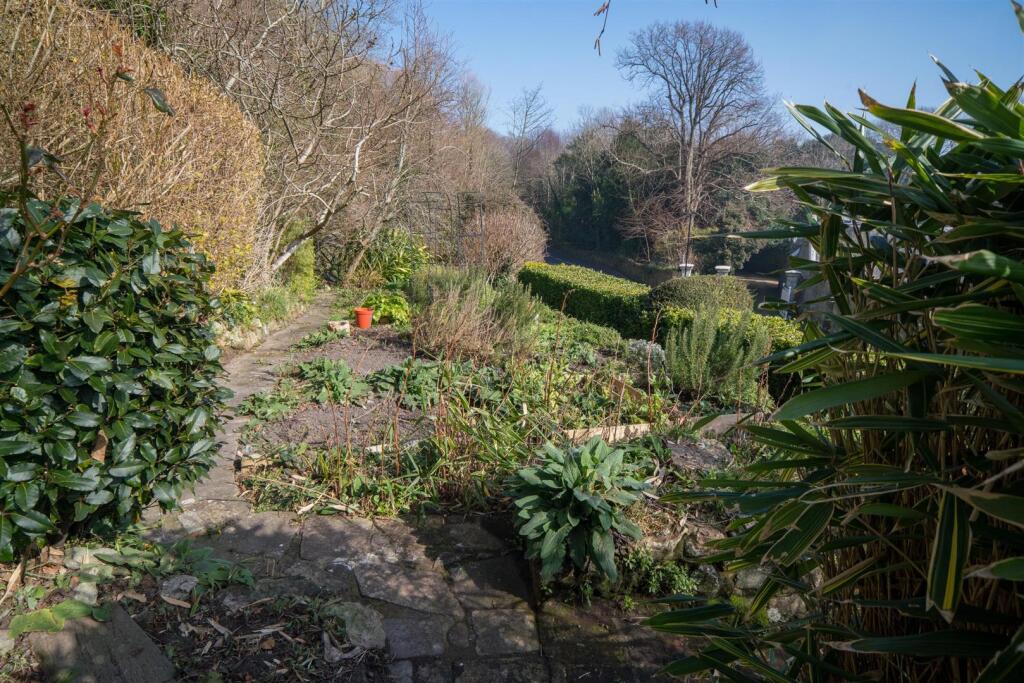 Vegetable Garden