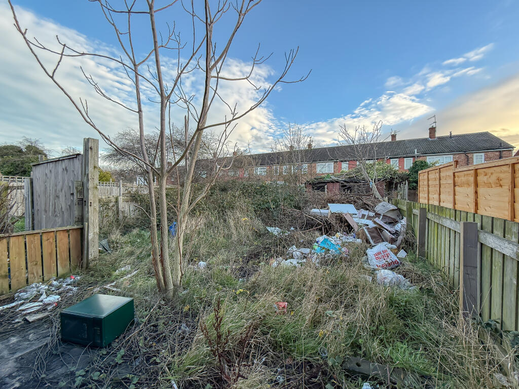 IMG 9525 T202512180940.jpg