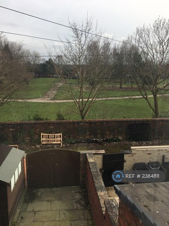Back Garden 