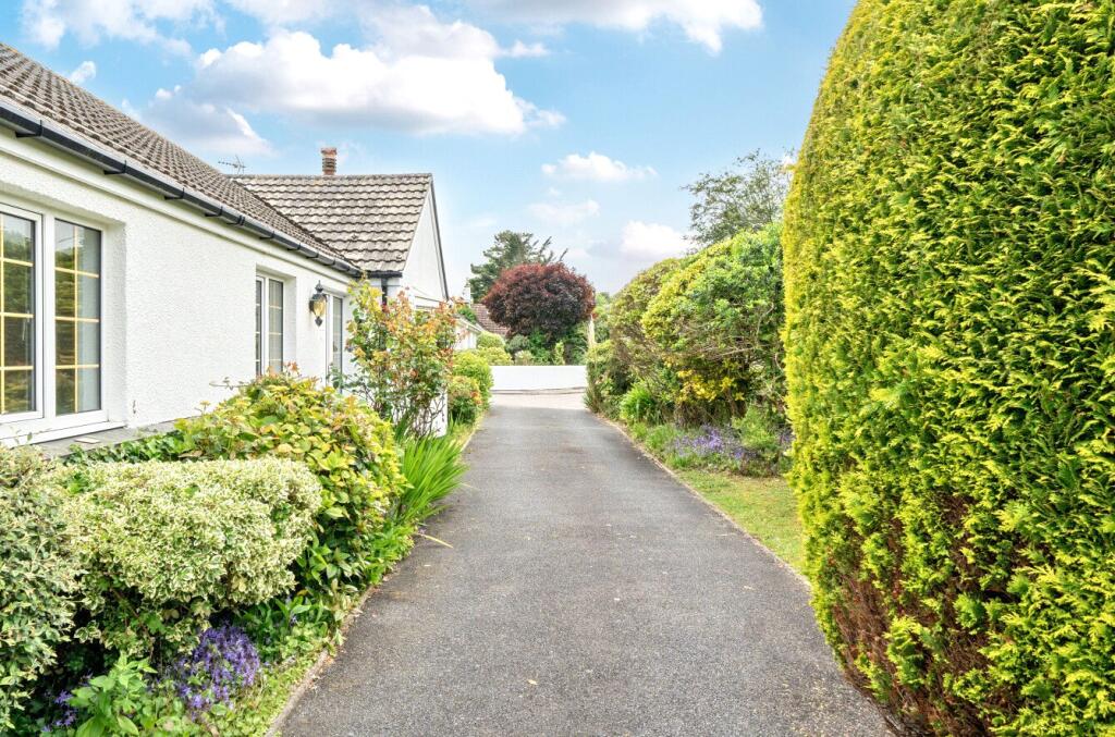 1305568-18-684859...