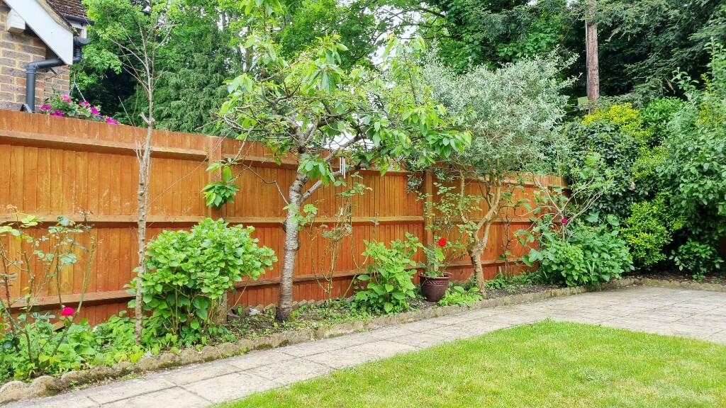 Front Garden