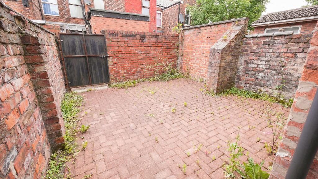 Back yard 