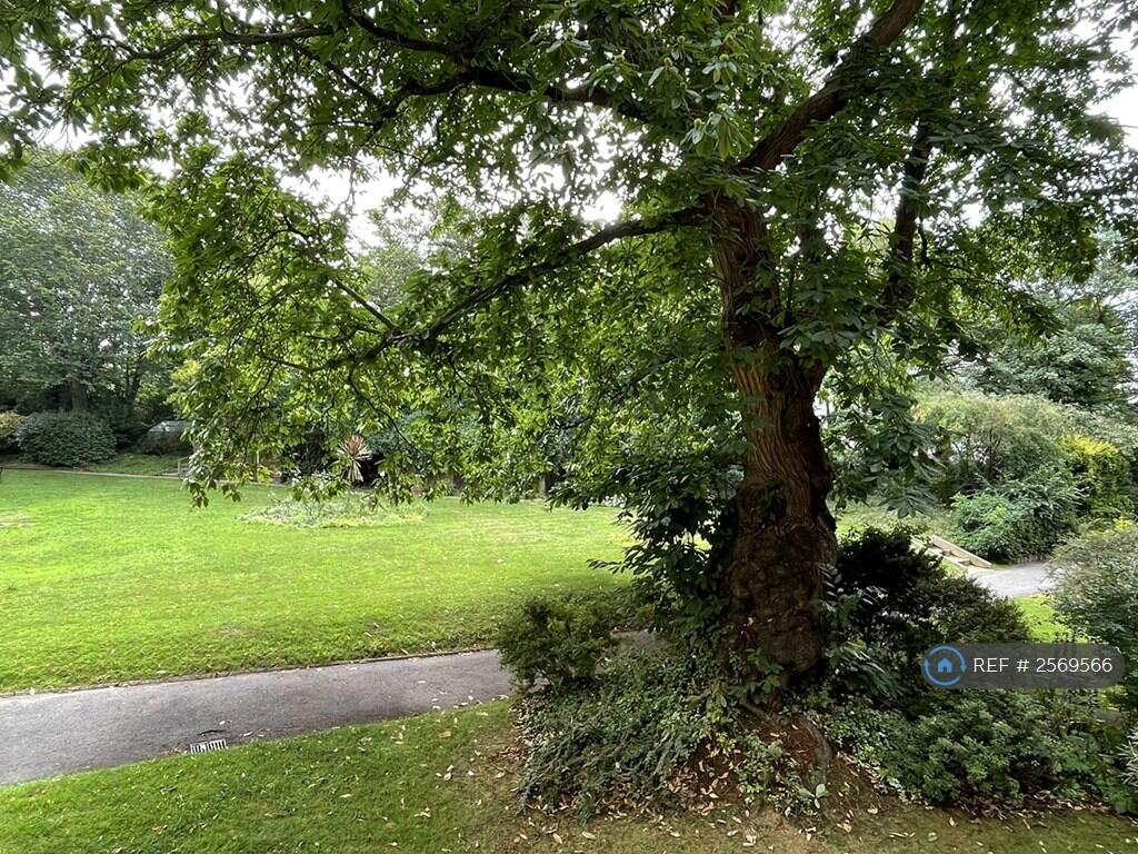 Shared Back Garden