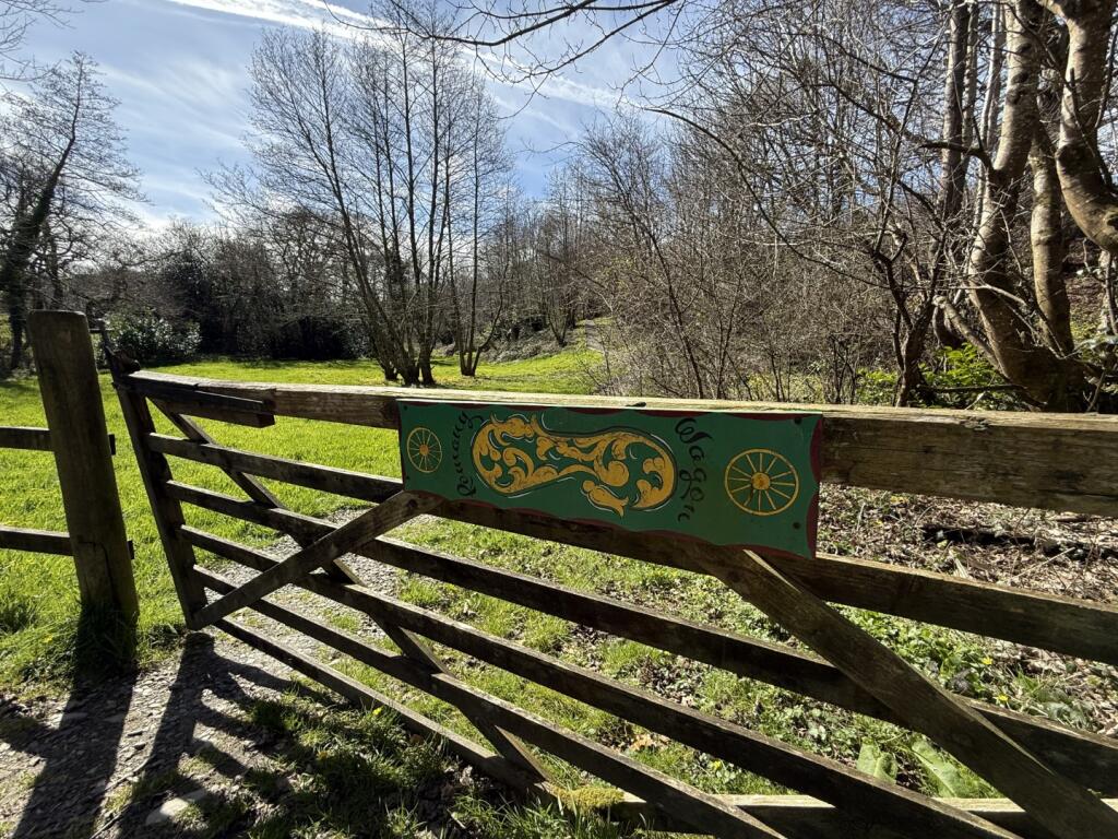 IMG 5429  Large  T202505021202.jpeg