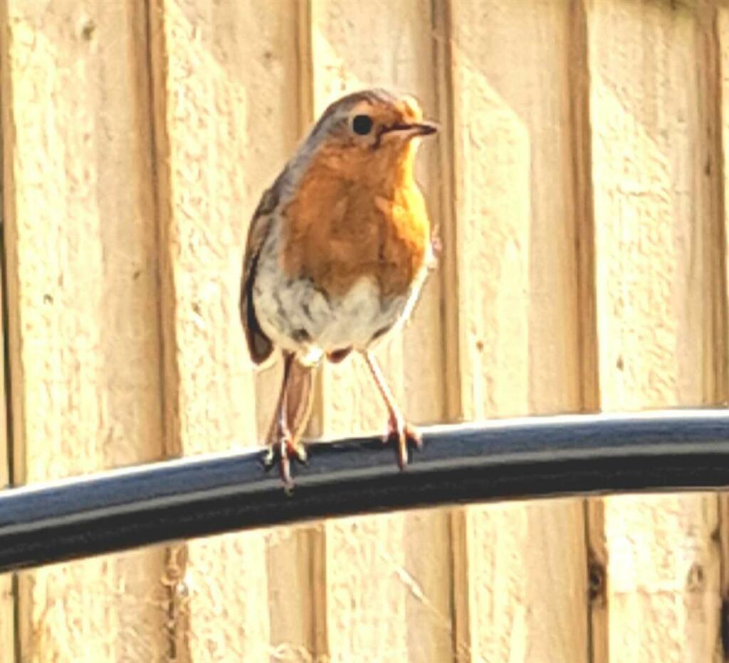 Elevations, Gardens &amp; Parking