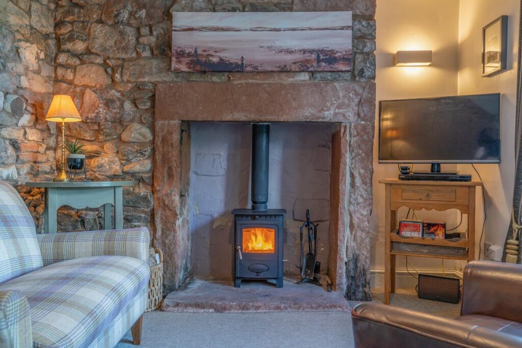 A Roaring Welcome Awaits