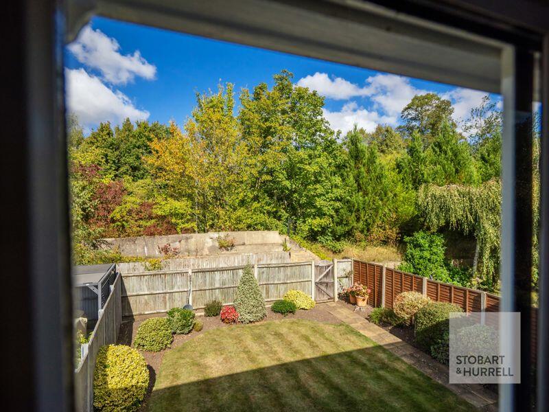 Elevated Rear Outlook