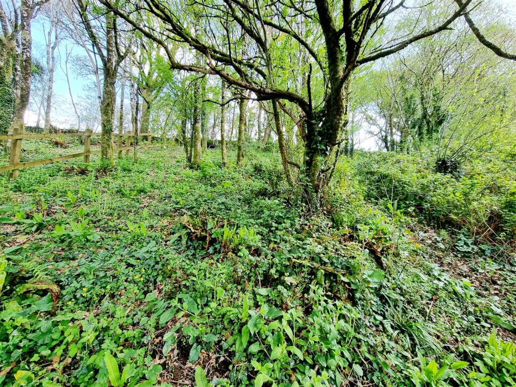 Copse