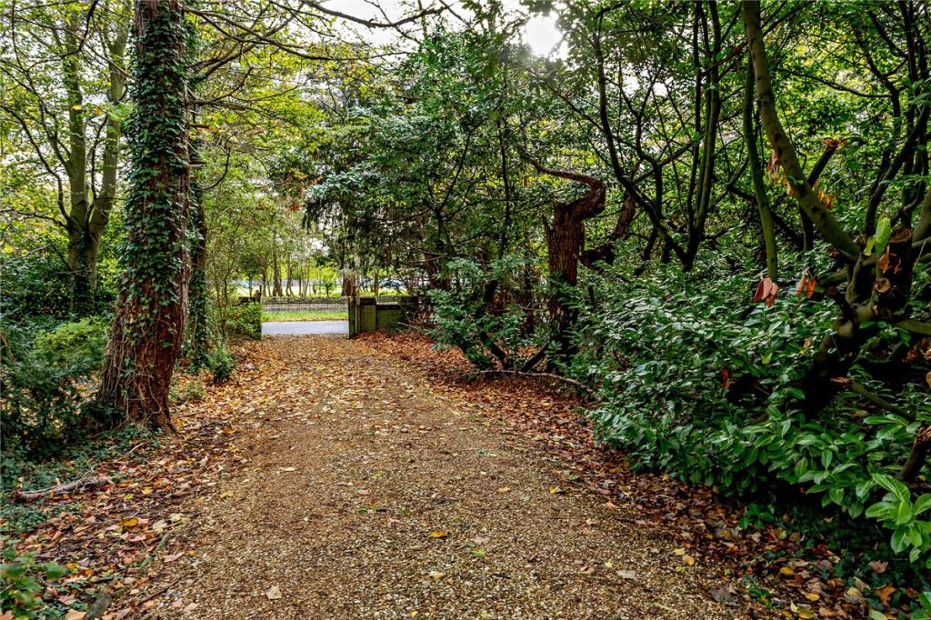 Driveway