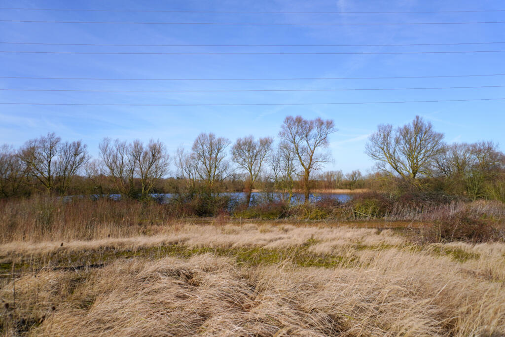 Land
