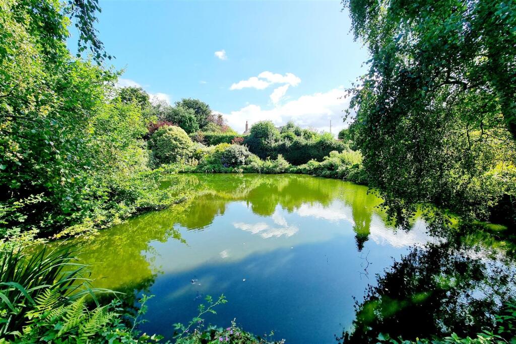 STUNNING POND &amp; SURROUNDINGS: PIC. 1