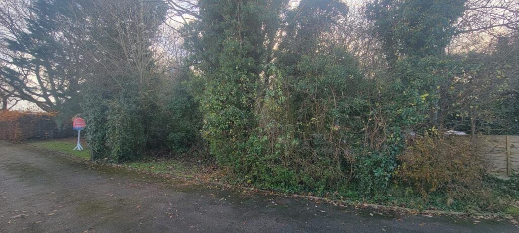 IMG 2274 T202411251523.jpg