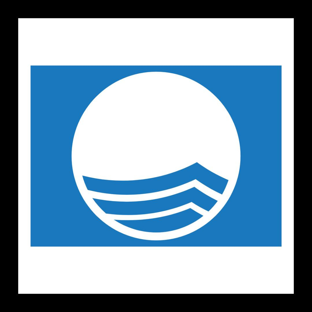 Blue Flag.png