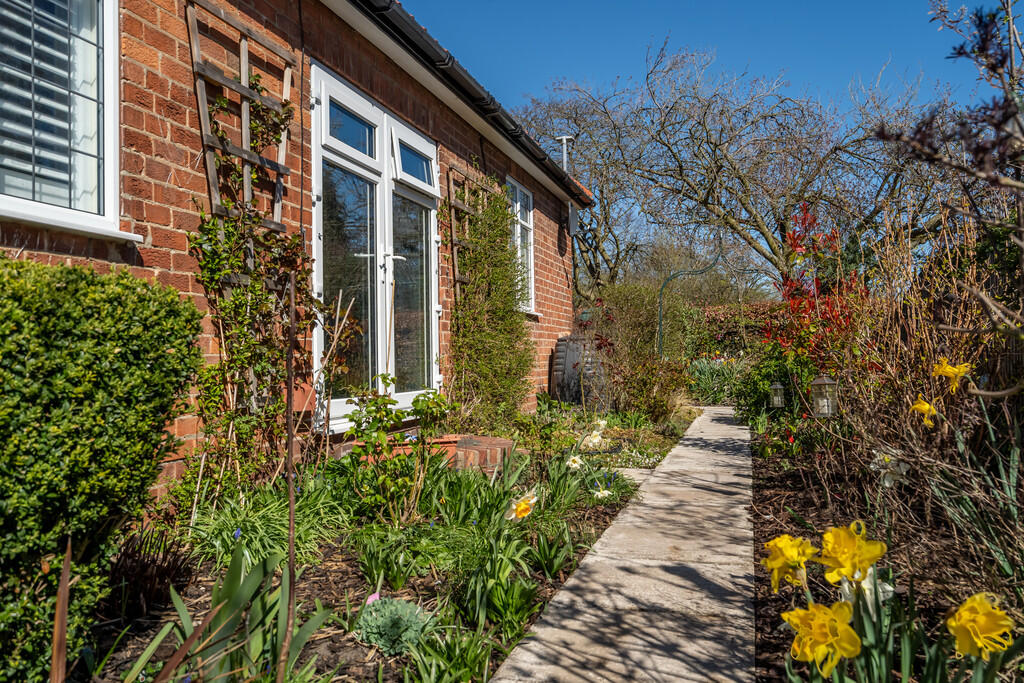 Side Garden