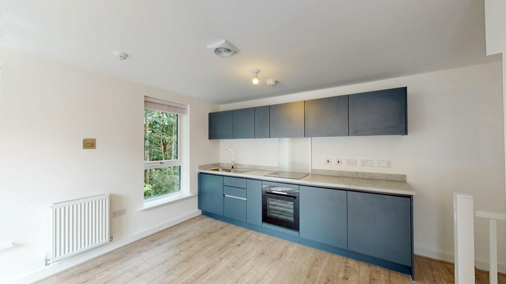 41-Copper-Beach-Court-07112023_101544