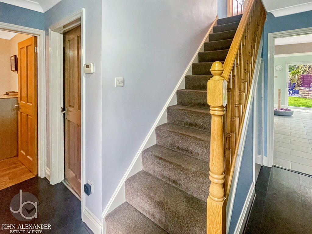 20250313_10250982...