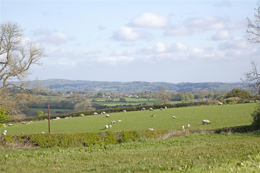Countryside Views