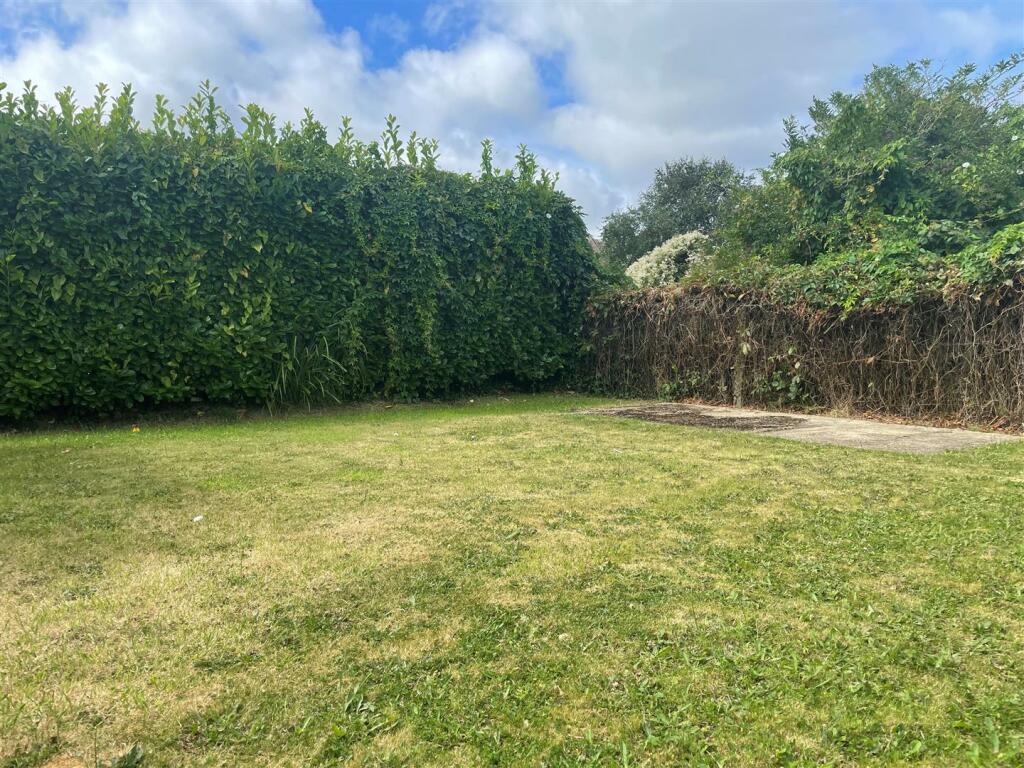 Garden 3.jpg
