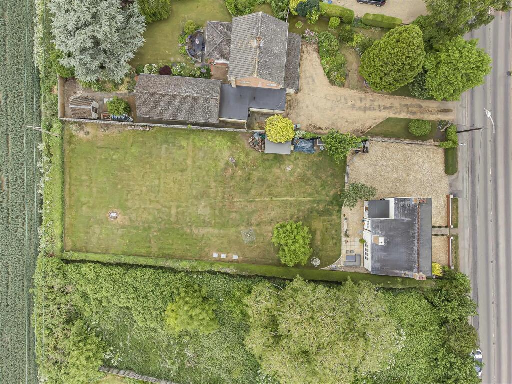 6_54971.jpg