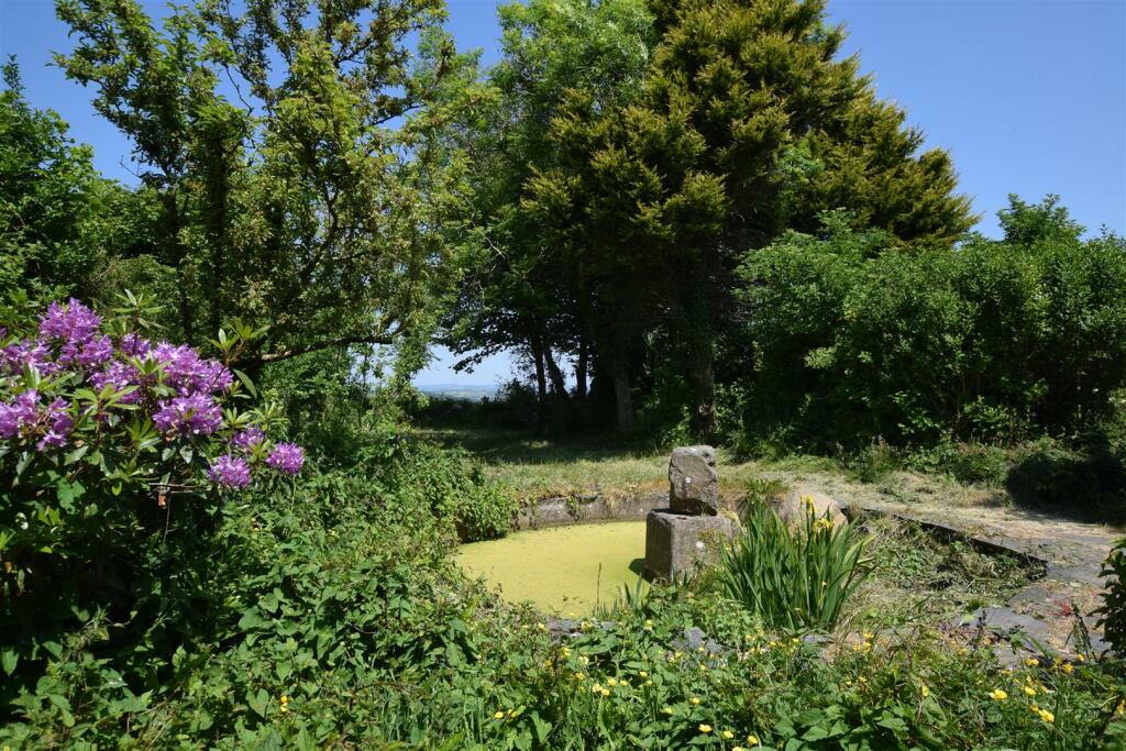 Pond / Garden
