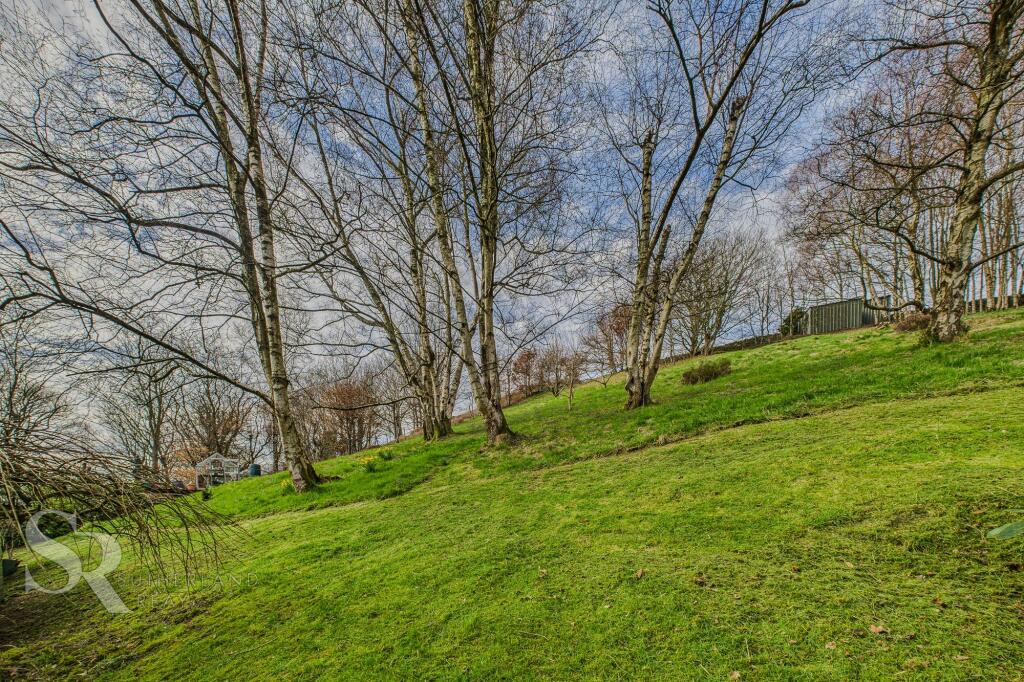 Gardens - Woodland Area