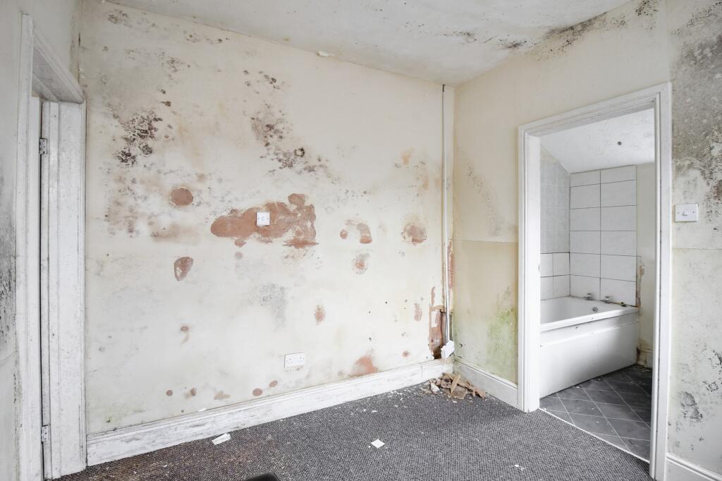 20251115053805 IMG 4457 3QVTc T202511171854.jpg