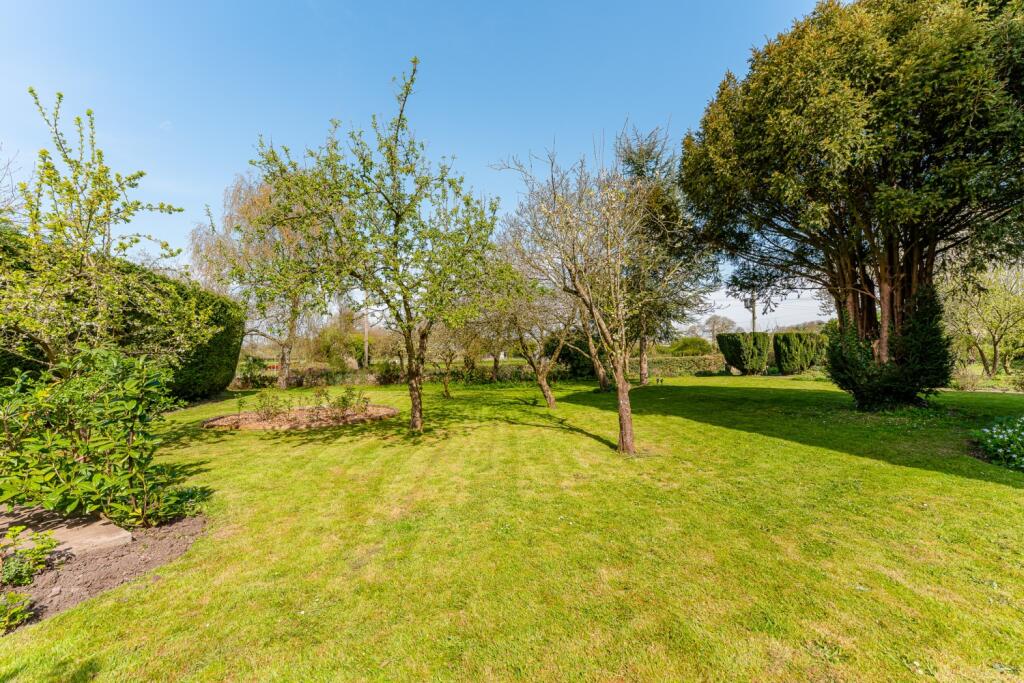 Orchard