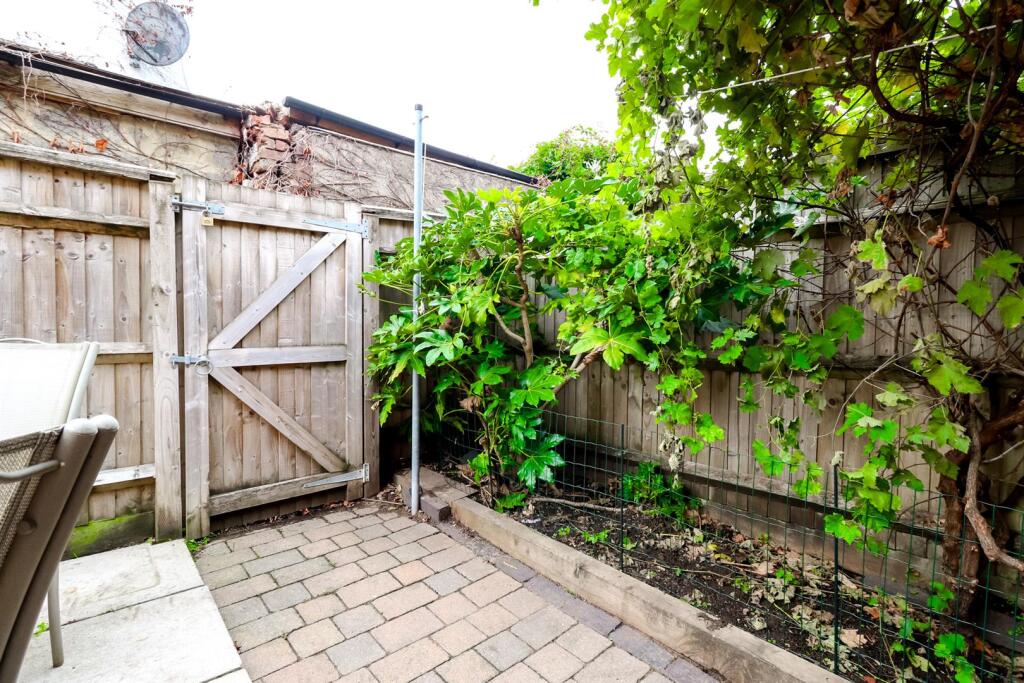 Garden (5).jpg