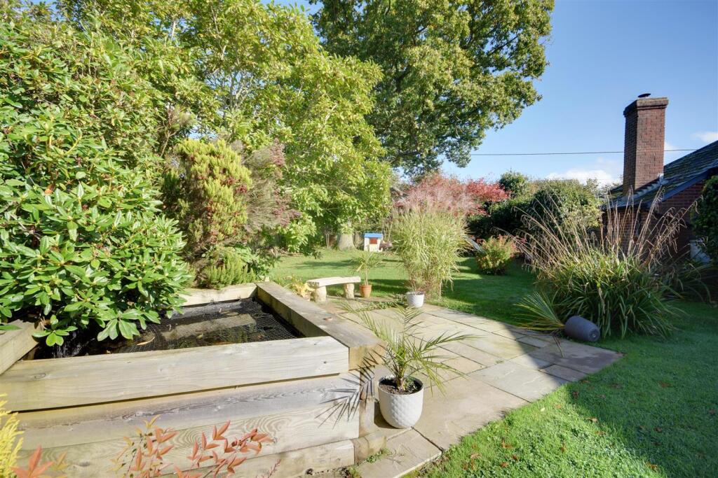 Rear garden