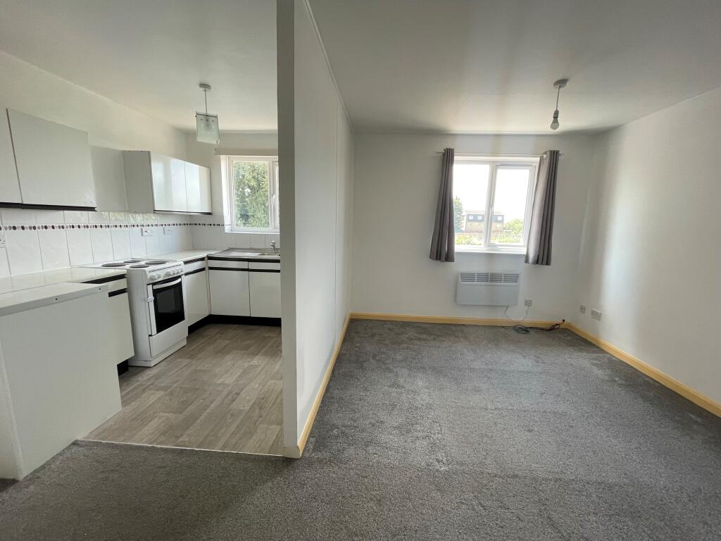 Kitchen / Living Area