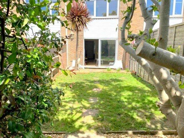 Back Garden