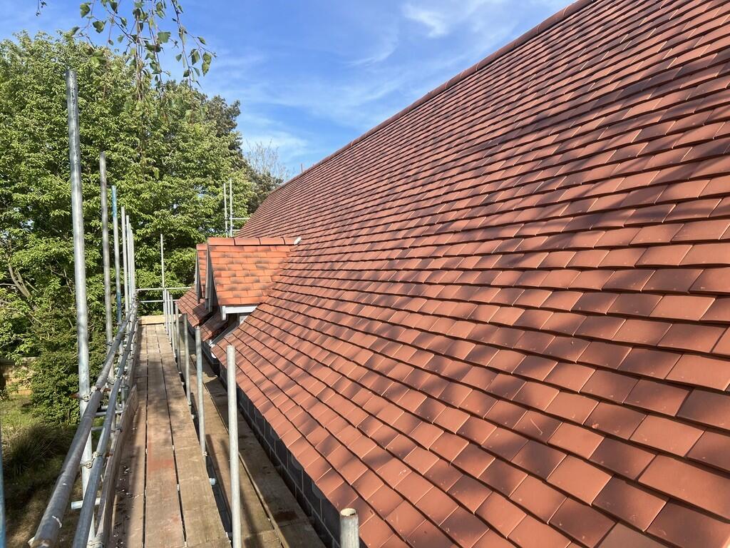 UNADJUSTEDNONRAW_...