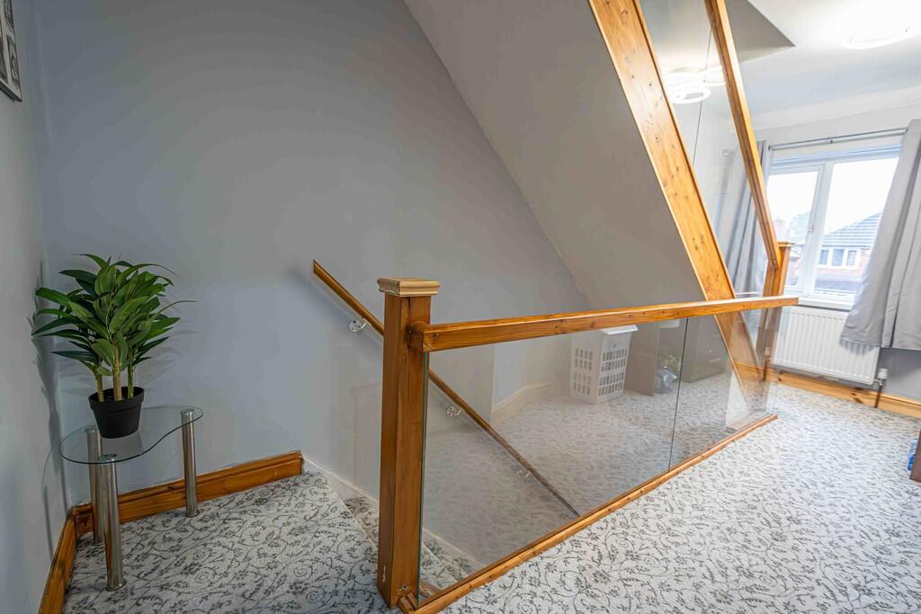 20250215-DSC02867...