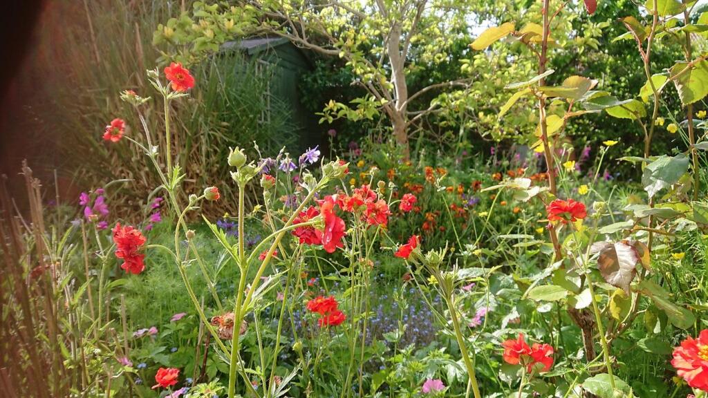 Garden A.jpg