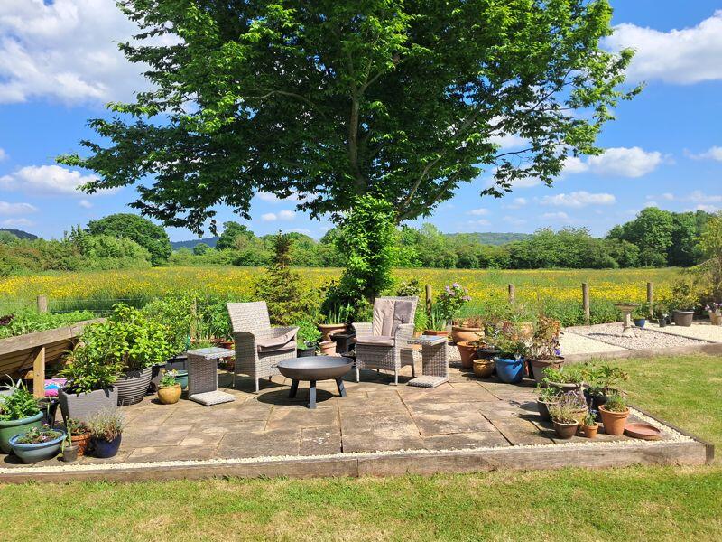 Garden with a View