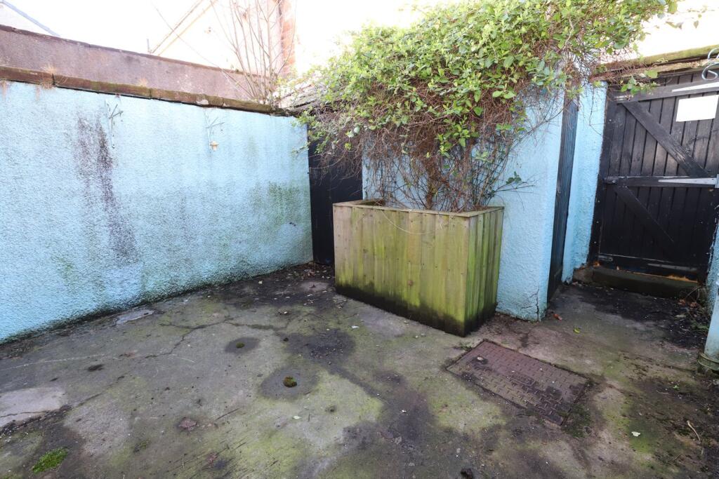 Rear courtyard garden