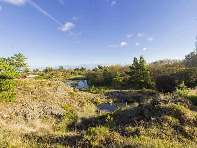Land View