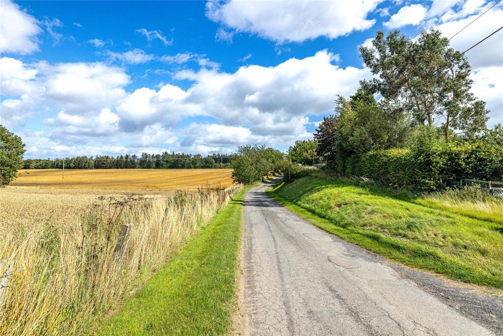 Access Road