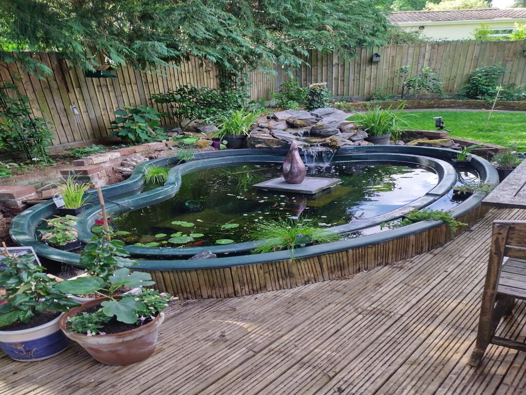 Garden Pond